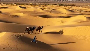 Mengejutkan! Gurun Sahara Pernah Hijau dan Penuh Satwa Air