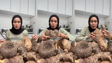Apa Itu Kimpul? Umbi Lokal yang Viral di Media Sosial