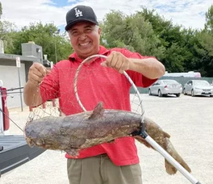 Lele Raksasa 'Catzilla' Hebohkan Danau California, Timbangan Rusak