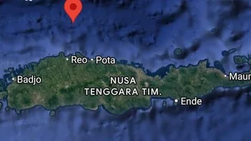 Gempa M7,7 Guncang NTT, Warganet Padati X dengan Doa dan Belasungkawa