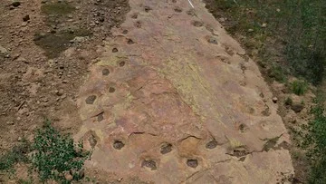 Temuan Jejak Kaki Dinosaurus Jura Akhir di Colorado Ungkap Pola Jalan Pincang
