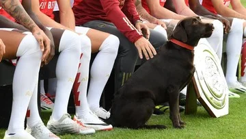 Gelar Juara Liga Inggris Arsenal Bikin Arteta Ubah Panggilan Anjing Peliharaan