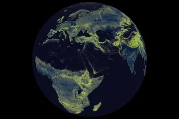 Studi Ungkap Jaringan Jamur Bawah Tanah Penopang Ekosistem Global