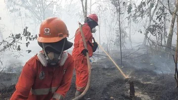Hotspot Karhutla Kalimantan Turun Signifikan, Kewaspadaan Tetap Tinggi