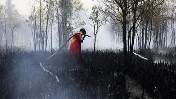 Dampak asap kebakaran hutan merusak jantung hingga kesehatan otak
