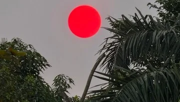 Matahari Merah di Palangka Raya Terjadi Karena Pengaruh Asap Karhutla