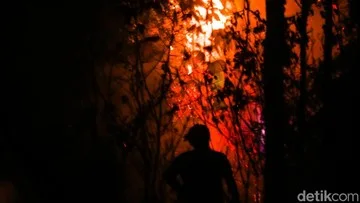Sorotan Internasional Terhadap Karhutla dan Emisi di Kalimantan