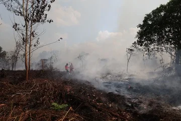 Dampak perubahan iklim membuat pemadaman kebakaran hutan makin berat