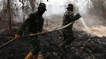 Mengenal Peat Smouldering, Kebakaran Gambut Tersembunyi Temuan BRIN