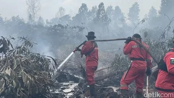 3 Cara Cek Kebakaran Hutan Menggunakan Google Maps dan Layanan Satelit
