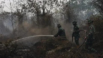 Alasan Ilmiah Mengapa Asap Karhutla Mampu Menjangkau Jarak Jauh