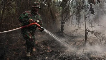 Tepung Singkong untuk Padamkan Karhutla, Efektifkah Inovasi Ubi Bombing?