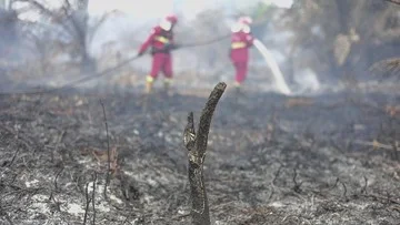 Uji Coba Retardan Pati Singkong BRIN Tanggulangi Kebakaran Hutan