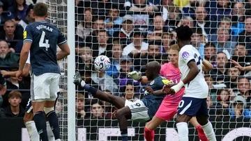 Kandas di Kandang, Tottenham vs Newcastle Ditutup dengan Skor 0-2