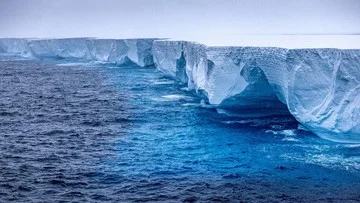 Gunung Es Raksasa Lepas dari Antartika Singkap Ekosistem Bawah Laut
