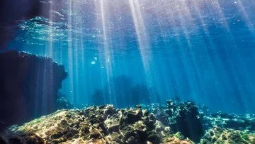 Peran Revolusi Feses Purba dalam Daur Ulang Nutrisi Laut