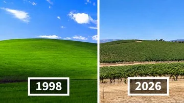 Transformasi Lokasi Asli Wallpaper Windows XP Jadi Kebun Anggur