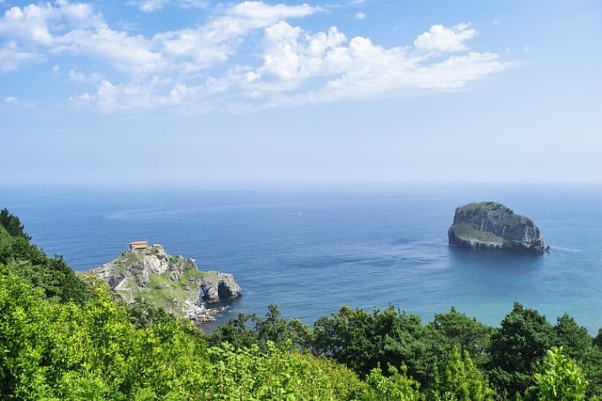 Menyaksikan Keajaiban Kupu-Kupu Biru Raksasa serta Keindahan Tersembunyi Danau Teluk Seruo Ogan Ilir yang Wajib Diketahui, Ternyata Bentuknya Ini!