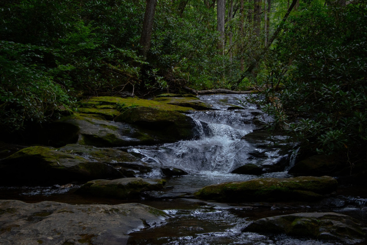 Misteri Horor Sungai di Cirebon yang Konon Simpan Buaya Putih Hasil Jelmaan Pangeran? Jaraknya Hanya 12,5 Km dari Pusat Kota Cirebon