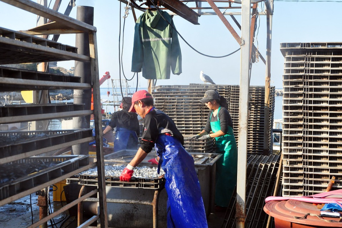 Berdiri Sejak 1935 Pabrik Kecap Terbesar di Jawa Timur ini Tetep Kokoh Berdiri Karena Tetap Bertahan dengan Resep Tradisionalnya, dari Mojokerto Cukup 80 Km