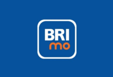 Invalid Access Time BRImo Saat Beli Token Listrik PLN Artinya Apa