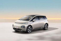 Resmi Meluncur di Indonesia, Harga Wuling Cloud EV Rp398 Juta, Sudah Termasuk Insentif PPN Mobil Listrik dari Pemerintah