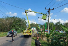 Belum Ada 1 Dekade? Deretan Kota Termuda di Indonesia yang Punya Perkembangan Pesat dan Maju! Kecil-kecil Cabe Rawit