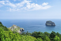 Menyaksikan Keajaiban Kupu-Kupu Biru Raksasa serta Keindahan Tersembunyi Danau Teluk Seruo Ogan Ilir yang Wajib Diketahui, Ternyata Bentuknya Ini!