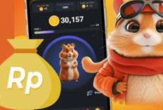 Kode Harian Hamster Kombat 12 September 2024, Dapatkan Gratis Jutaan Koin