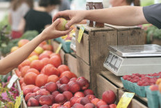 45 Menit dari Trenggalek Terdapat Pasar Terpencil di Tengah Hutan Belantara, Siapa Kira-Kira Pembelinya?