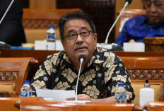 Ini Profil & Biodata Rano Karno, Bakal Calon Wakil Gubernur Jakarta yang Bakal Dampingi Anies Baswedan