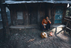 Berjarak 110 Km dari Balikpapan! Perkampungan di Kalimantan Timur Ini Dipercaya Rumah Makhluk Gaib, Waduh Masyarakatnya Gimana?