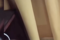 Diduga Terlibat Video Asusila, Kepala Desa di Balangan Diperiksa Polisi