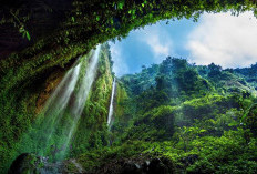 Keindahan Wisata Alam Air Terjun Madakaripura Probolinggo, Jawa Timur: Konon Jadi Tempat Pertapaan Terakhir Gajah Mada