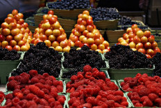 Pasar Njajar Pasar Unik di Tengah Hutan Jatim yang Menghubungkan Dua Wilayah Saling Sengketa, Fungsi Utama Tempat Pertemuan Warlok Untuk Menjual Hasil Pertaniannya