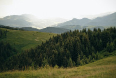 Gunung Setinggi 3,256 Meter di Jawa Tengah Ini Buat Larangan Bagi Pendaki Pakai Baju Warna Hijau, Kok Iso? Mitos Gunung Lawu Ini Dipercaya Masyarakat Sekitar